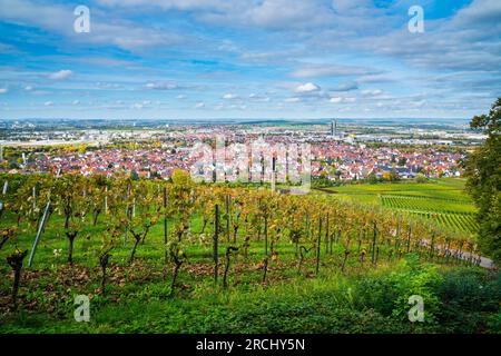 Germany, Fellbach city skyline vineyard panorama view autumn season above roofs houses tower at sunset mood with blue sky and sun Stock Photo