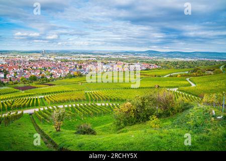 Germany, Fellbach city skyline, vineyard panorama nature landscape view, autumn season above roofs houses tower at sunset time Stock Photo