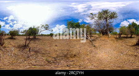 360 degree panoramic view of Savannah landscape in Sri Lanka. Kumana National Park. 360 panorama VR.