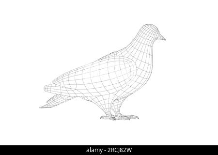 Pigeon vector wireframe character flat illustration. Dove pigeon seen in Side view - Flat style vector. 3D Stock Vector