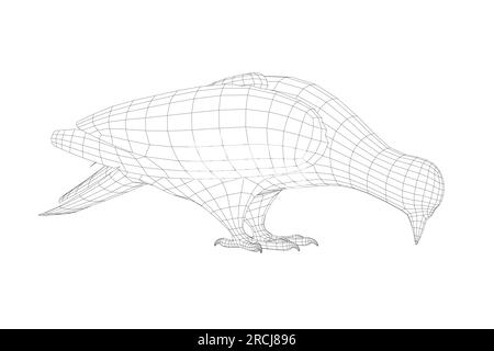 Pigeon vector wireframe character flat illustration. Dove pigeon seen in Side view - Flat style vector. 3D Stock Vector