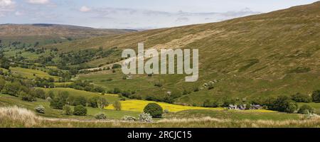 Panoramic view of Deepdale, near Dent, Yorkshire Dales National Park, with hay meadows in summer Stock Photo