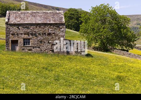 Field barn in hay meadow, Muker, Swaledale, Yorkshire Dales National Park Stock Photo