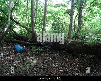 Natural intimate landscape demonstrating the colours, patterns and textures in the found environment Stock Photo