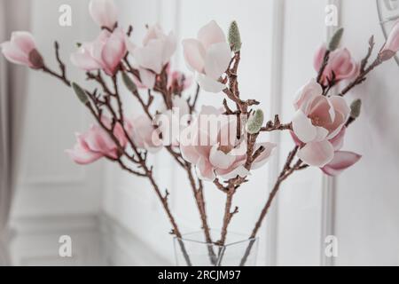 White pink magnolia flowers in a vase. Bouquet of branches with magnolia buds in room interior. Flower background. Nature aesthetic floral concept. Bloom bud closeup Stock Photo
