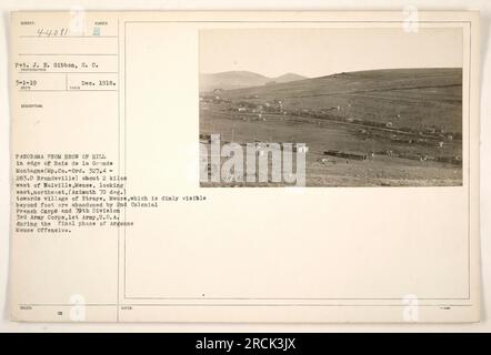 'Pvt. J. E. Gibbon of the S.C. captured this panorama on March 1, 1919. The photograph shows the view from the hilltop edge of Bois de la Grande Montagne, around 2 kilometers west of Waiville, Meuse. It looks east and northeast towards the village of Etraye, which appears dimly beyond a foot track abandoned by the 2nd Colonial French Carpe and 79th Division on December 00, 1918. The photograph is associated with the 3rd Army Corps, 1st Army, U.S.A, and documents the final phase of Argonne Meuse Offensive. The assigned classification of this photograph is 44081.' Stock Photo