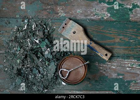 Scraping old peeling paint with a hand scraper from a wide plank wood floor. Stock Photo