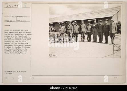 A group of soldiers who were gassed during World War One are seen working on the Q.M.C. farm to recover. The soldiers pictured from left to right are Pvt. Joseph Cecire, Pvt. Ernest H. Gibbons, Pvt. James Passarella, Pvt. John Samsel, Pvt. 1st Cl. Anton Skecy, Pvt. 1st Cl. Bowlesla Wasilewski, Pvt. George Watson, Pvt. 1st Cl. Charles W. Rohrer, and Pvt. lst. Cl. Charles E. Collins. This photograph was taken by L.E. Drucker and released by A.E.P. Requires 0-3-18. Stock Photo