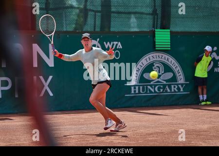 Budapest, Central Hungary, Hungary. 15th July, 2023. JESSIE ANEY of the United States in action during the HUNGARIAN GRAND PRIX - Budapest - Womens Tennis, WTA250 (Credit Image: © Mathias Schulz/ZUMA Press Wire) EDITORIAL USAGE ONLY! Not for Commercial USAGE! Credit: ZUMA Press, Inc./Alamy Live News Stock Photo