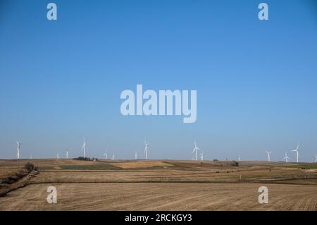 Wind farm for renewable electric wind energy production in American prairie farmland, Colorado, USA Stock Photo