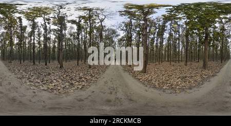 360 degree panoramic view of kushmi jungle