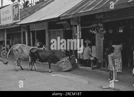 Photographs taken in Malaysia, Malacca,Muar, Batu Pahat, Rompin, Mersing, Kota Bharu, Endau, Singapore during 1973. Streetlfe, markets, rubber collecting and villages. Stock Photo