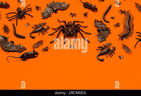 Black Halloween creepy crawly bugs and spiders on orange background with blank space for text Stock Photo