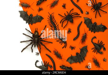 Black Halloween creepy crawly bugs and spiders on orange background with blank white space for text or image Stock Photo