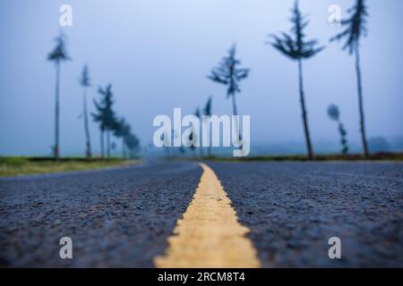 Kiambu-Limuru Road Highway, Tea Plantations Stock Photo