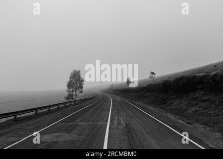 Kiambu-Limuru Road Highway, Tea Plantations Stock Photo