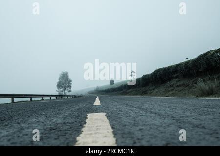 Kiambu-Limuru Road Highway, Tea Plantations Stock Photo