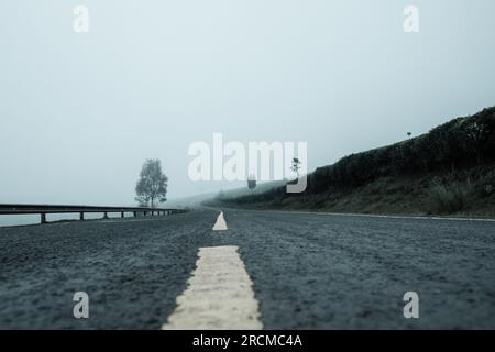 Kiambu-Limuru Road Highway, Tea Plantations Stock Photo