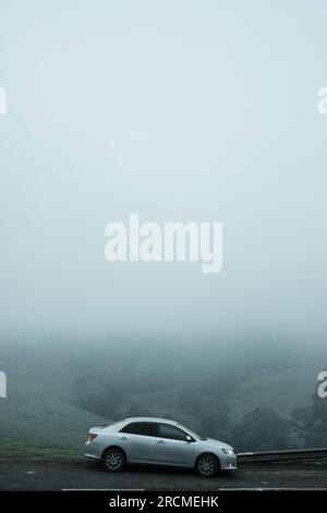 Kiambu-Limuru Road Highway, Tea Plantations Stock Photo