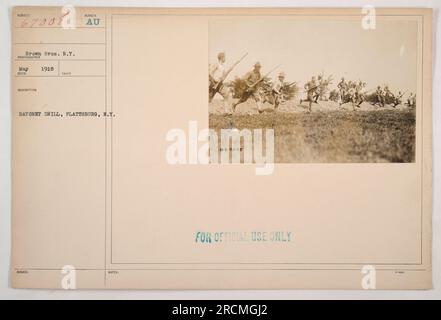 Soldiers participating in bayonet drill during training at Plattsburg, New York. The drill was carried out in May 1918 and the photograph was taken by Brown Bros. N.Y. It was given the identification number 67008 and marked as 'FOR OFFICIAL USE ONLY.' Stock Photo