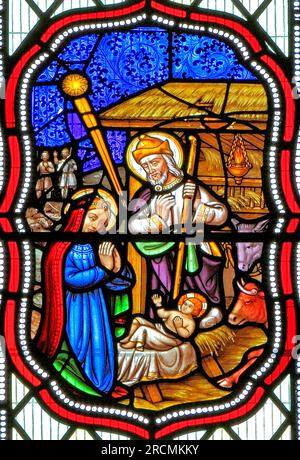 Birth of Jesus, stained glass window, 1860, The Nativity, Christmas, Fakenham church, Norfolk, England Stock Photo