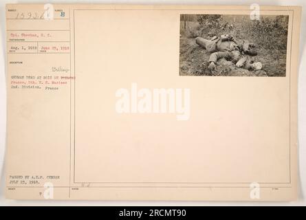 Soldier examining German dead at Bois de Bohlrau in France during World War I. This photograph, numbered 111-SC-15926, was taken on August 1, 1918, by Corporal Sheehan of the Signal Corps. It features members of the 5th U.S. Marines from the 2nd Division. The image was cleared by the A.E.P. censor on July 23, 1918. Stock Photo