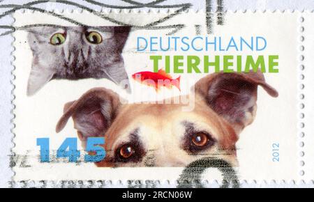 GERMANY - CIRCA 2012: stamp printed by Germany, shows cat and dog, circa 2012 Stock Photo