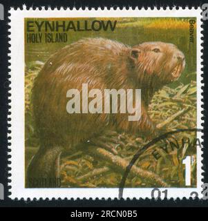 GREAT BRITAIN - CIRCA 1979: stamp printed by Great Britain, shows beaver, circa 1979 Stock Photo