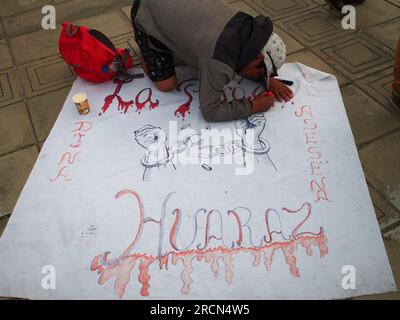 Lima, Peru. 15th July, 2023. 'Dina killer' can be read on a cardboard when dozens gather to protest in front of the judiciary in a vigil as a prelude to the great national march called for next July 19th against President Dina Boluarte and the Congress.In previous riots, between December and March of this year, there were more than 50 deaths due to the use of excessive force by the police to control the protesters. Credit: Fotoholica Press Agency/Alamy Live News Stock Photo