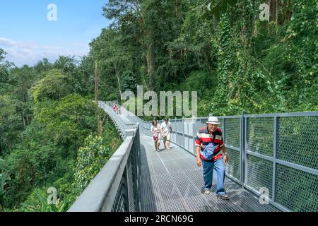 Elevated treetops jungle forest Canopy Walkway in Mae Rim North Chiang Mai a tourist attraction at the Queen Sirikit Botanic Gardens Stock Photo