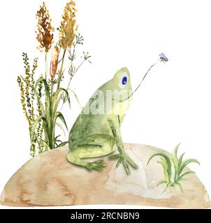 Funny frog on the lawn catches flies. Watercolor children s illustration. Cartoon. Stock Vector
