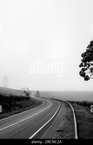 Kiambu-Limuru Road Highway, Tea Plantations Stock Photo