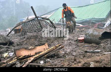 South Korea. 16th July, 2023. (230716) -- SEOUL, July 16, 2023 (Xinhua) -- A rescuer and a sniffer dog are in operation at a site of landslide in the county of Yecheon, North Gyeongsang Province, South Korea, on July 16, 2023. The Death toll from the torrential rains over the past week in South Korea rose to 33, while 10 others were missing, relevant authorities said on Sunday.According to the central disaster and safety countermeasure headquarters, 33 people had been found dead in southeastern North Gyeongsang province and central Chungcheong province. (NEWSIS via Xinhua) Credit: Xinhua/Alamy Stock Photo