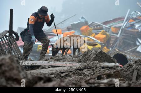 South Korea. 16th July, 2023. (230716) -- SEOUL, July 16, 2023 (Xinhua) -- A rescuer and a sniffer dog are in operation at a site of landslide in the county of Yecheon, North Gyeongsang Province, South Korea, on July 16, 2023. The Death toll from the torrential rains over the past week in South Korea rose to 33, while 10 others were missing, relevant authorities said on Sunday.According to the central disaster and safety countermeasure headquarters, 33 people had been found dead in southeastern North Gyeongsang province and central Chungcheong province. (NEWSIS via Xinhua) Credit: Xinhua/Alamy Stock Photo