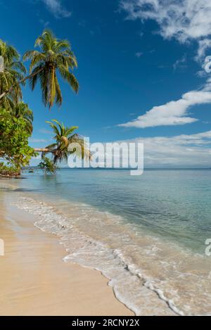 Small island beach in the Caribbean, Zapatilla key, Bocas del Toro, panama, Central America - stock photo Stock Photo