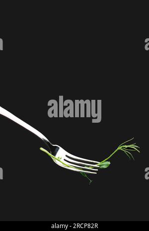 green pea sprout on fork . Vegetarianism, healthy eating, growing microgreens Stock Photo