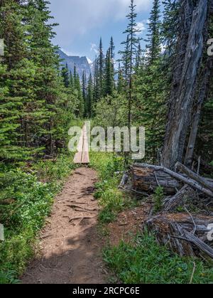 Wooden crossing over a wetland on the Sherbrooke Lake hiking trail in Yoho National Park Stock Photo