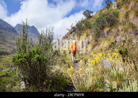 Hiker in high mountains in Colombia, South America Stock Photo