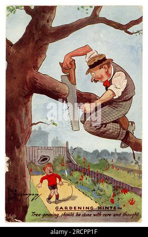 Original 1930's comic Fred Buchanan colour / color cartoon postcard  'Gardening Hints' illustrating a man in garden pruning a tree without due care, dangerously how not to prune a branch. dated / posted 17 Jan 1938 but series dates from 1930. Stock Photo