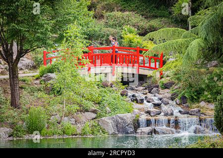 Le jardin japonais à Dijon en début d'été. The Japanese garden in Dijon in early summer. Stock Photo