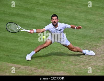 London, Gbr. 16th July, 2023. London Wimbledon Championships Day 14 Novak Djokovic (SRB) Men's Singles Final Credit: Roger Parker/Alamy Live News Stock Photo