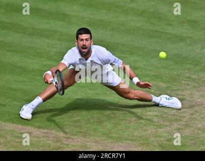 London, Gbr. 16th July, 2023. London Wimbledon Championships Day 14 Novak Djokovic (SRB) Men's Singles Final Credit: Roger Parker/Alamy Live News Stock Photo