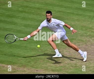 London, Gbr. 16th July, 2023. London Wimbledon Championships Day 14 Novak Djokovic (SRB) Men's Singles Final Credit: Roger Parker/Alamy Live News Stock Photo