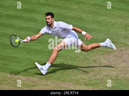 London, Gbr. 16th July, 2023. London Wimbledon Championships Day 14 Novak Djokovic (SRB) Men's Singles Final Credit: Roger Parker/Alamy Live News Stock Photo