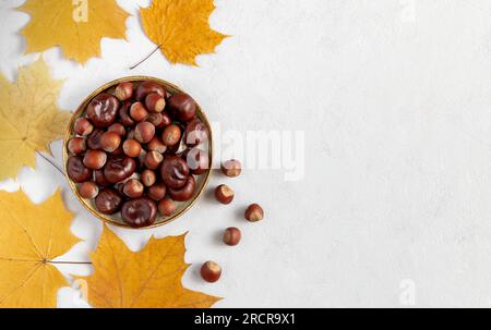 Hazelnuts and chestnuts in ceramic plate on gray concrete background and yellow autumn leaves flat lay with copy space Stock Photo