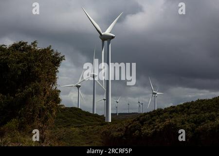 Giant wind turbines of Albany Wind Farm clean energy landmarks generating electricity on Southern Ocean coast of Western Australia Stock Photo