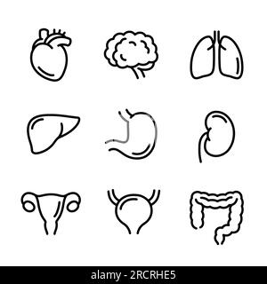 Human internal organs line icon set. Hand drawn doodle style symbols, black and white drawing. Isolated vector clip art illustration. Stock Vector