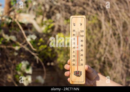 Hot weather. Thermometer in hand in front of dry plants during heatwave. High temperature and meteorology concept Stock Photo