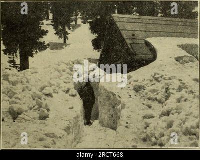 'The Utah Farmer : Devoted to Agriculture in the Rocky Mountain Region' (1913) Stock Photo