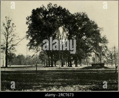 'Economic botany of Alabama' (1913-1928.) Stock Photo